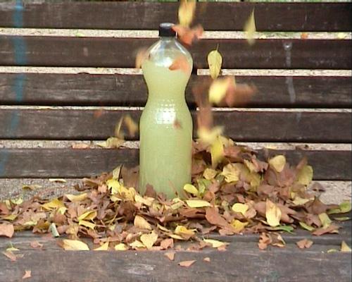 Film DVCam / Le monde de Chloé et autres nouvelles