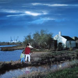 Nocturnes ou les garçons perdus