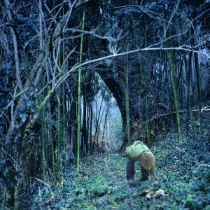 Nocturnes ou les garçons perdus