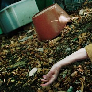 Versus Dystopia part II